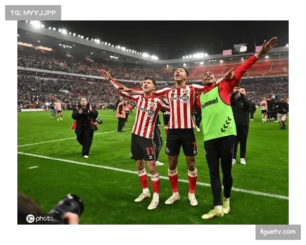 即时战果:布伦特福德2-2战平埃弗顿,双方各取一分